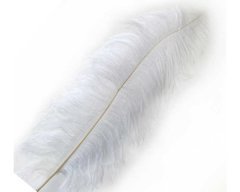 Kalem ve Organizasyon Tüyü - 65cm Beyaz