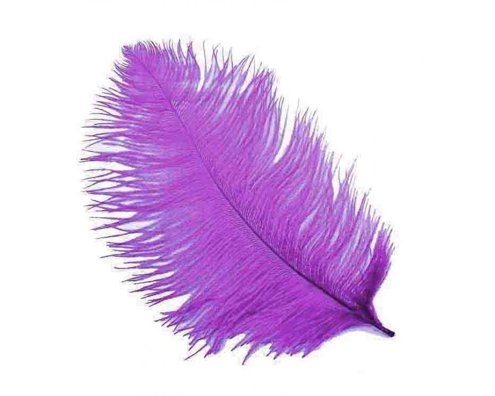 Kalem ve Organizasyon Tüyü - 35cm Mor