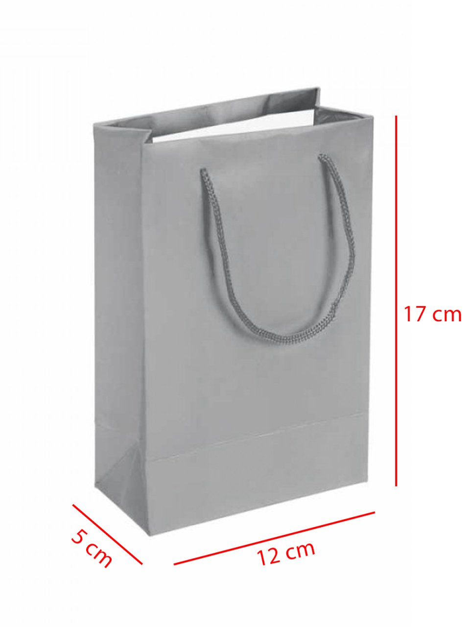 11x 5 x 17 İp Saplı Kağıt Çanta (25 adet) Gümüş