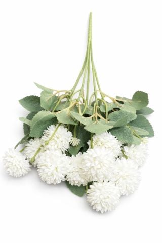 Kasımpatı Çiçek (4-5cm) 10 lu kafa