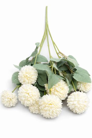 Kasımpatı Çiçek (4-5cm) 10 lu kafa Krem