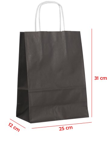 25 x 12 x 31 Büküm Saplı Kağıt Çanta (25 adet) Siyah